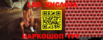 a pvp Краснокаменск